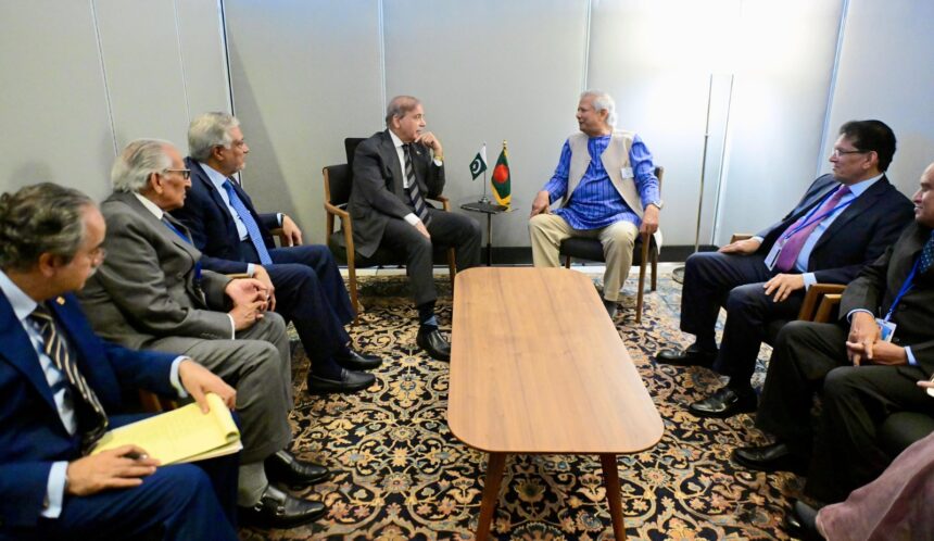 شہباز شریف - شہباز شریف اور پروفیسر محمد یونس کی ملاقات نیویارک میں