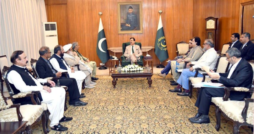 قائم مقام صدر - قائم مقام صدر نے سینیٹرز کے اعزاز میں ظہرانہ کیا