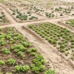 موسمی موافقت - بیلم اجلاس میں موسمی موافقت کا فیصلہ