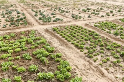 موسمی موافقت - بیلم اجلاس میں موسمی موافقت کا فیصلہ