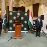 پاکستانی فن - ہنگری میں پاکستانی فن کی نمائش