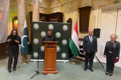 پاکستانی فن - ہنگری میں پاکستانی فن کی نمائش