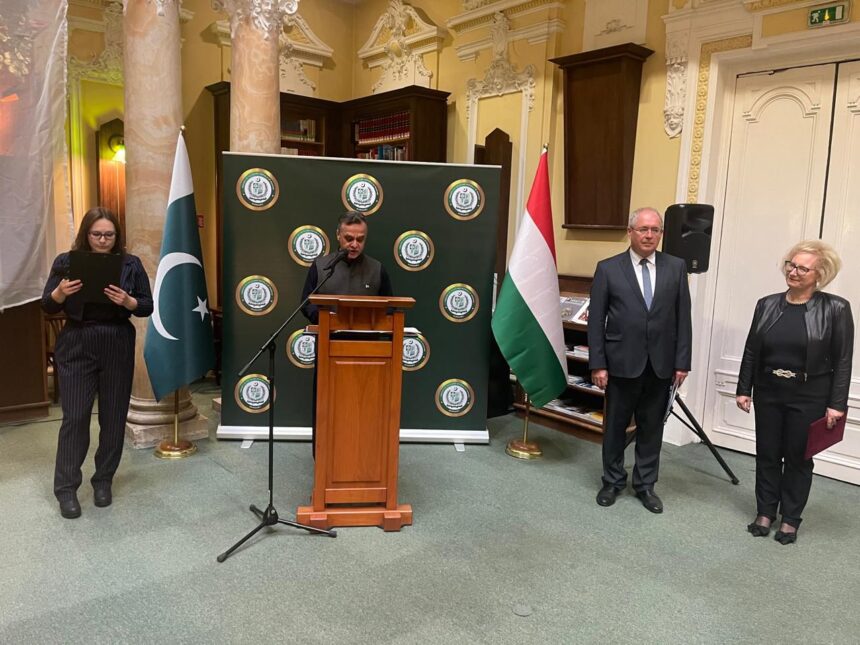 پاکستانی فن - ہنگری میں پاکستانی فن کی نمائش