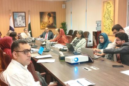 صنفی اعدادوشمار - نیشنل کمیشن برائے خواتین کا ڈیٹا اصلاحی اجلاس