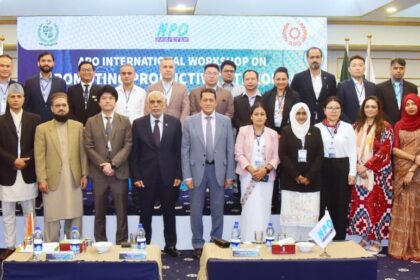 ڈیجیٹلائزیشن - ڈیجیٹلائزیشن سے پیداواری صلاحیت میں اضافہ