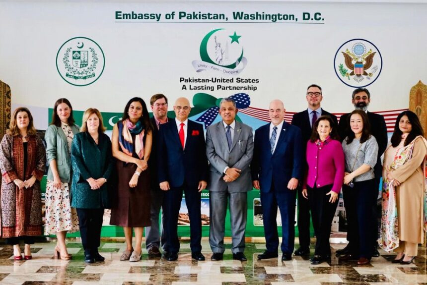 پاکستان اور جنوبی ایشیا - واشنگٹن میں پاکستان اور جنوبی ایشیا کے لیے نیا گروپ قائم