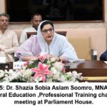 انتظامی خامیاں - وفاقی کمیٹی کی انتظامی خامیوں اور بچوں کی حفاظت پر تشویش