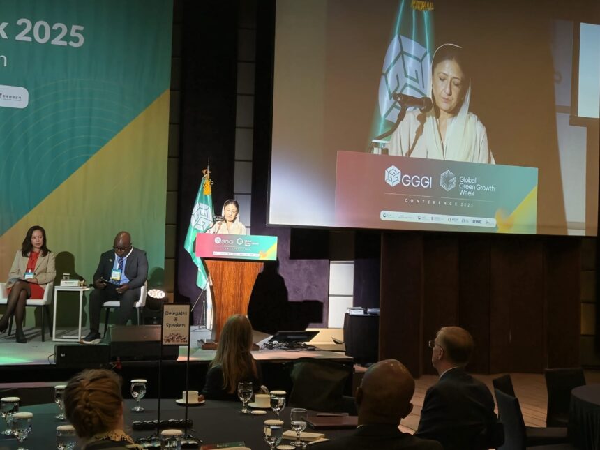 موسمیاتی تبدیلی - وزیر مملکت کا سیئول میں موسمیاتی فورم میں خطاب