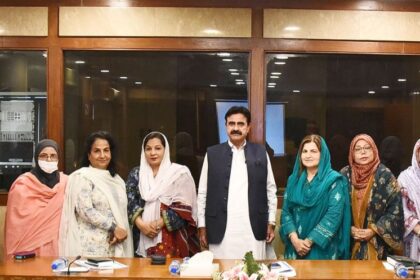 پاکستان سوئٹزرلینڈ تعلقات - پاکستان سوئٹزرلینڈ تعلقات میں پارلیمانی پیش قدمی