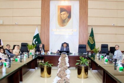 پائیدار ترقیاتی فریم ورک - صوبائی رہنمائی کمیٹی کا پائیدار ترقیاتی اجلاس