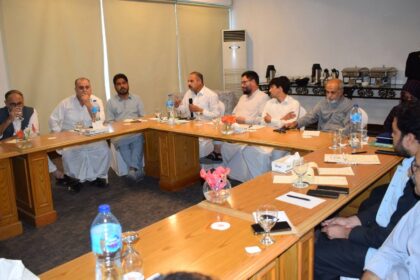 حقِ معلومات - حقِ معلومات جعل سازی کے خلاف مؤثر ہتھیار