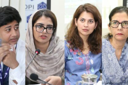 گھریلو سولر - گھریلو سولر سے توانائی سبسڈی کا نیا خاکہ