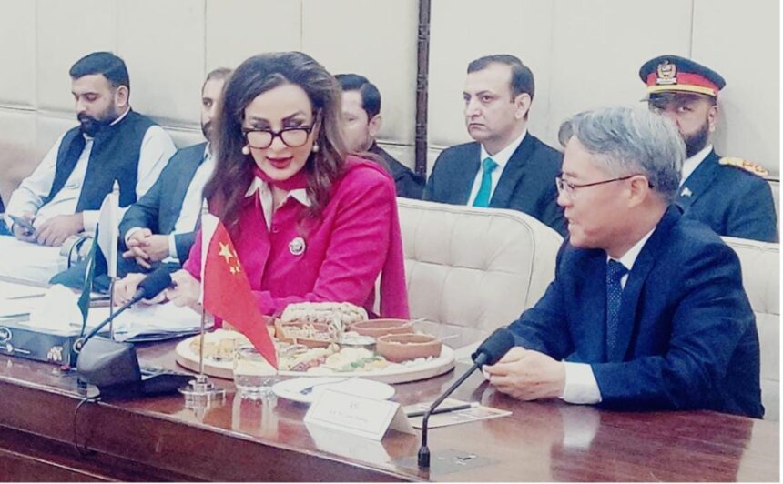 چیئرمین سینیٹ - چیئرمین سینیٹ کی آذربائیجان کی اسپیکر سے ملاقات