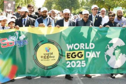 عالمی انڈہ دن - پیر مہر علی شاہ یونیورسٹی میں عالمی انڈہ دن منایا گیا