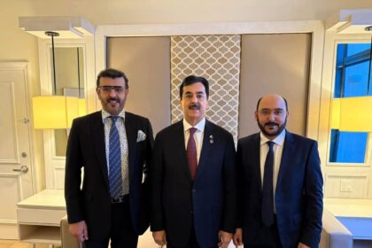 گیلانی خاندان - گیلانی خاندان کی تینوں ایوانوں کی نمائندگی