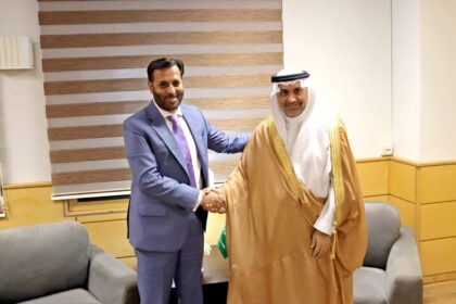 وزیرِ صحت ملاقات - قاہرہ میں پاکستانی اور سعودی وزراءِ صحت کی ملاقات