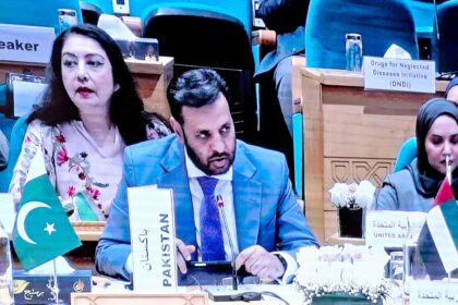 وفاقی وزیر صحت - وفاقی وزیر صحت قاہرہ پہنچ گئے