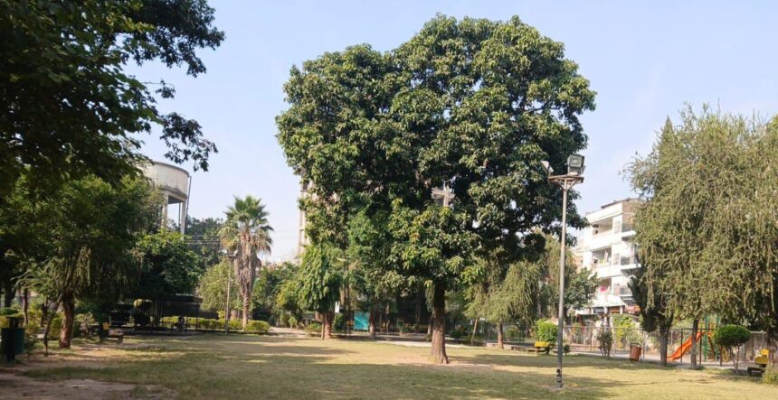 شہری باغات - ادارہ برائے باغبانی راولپنڈی نے شہری باغات کو رنگا رنگ بنایا