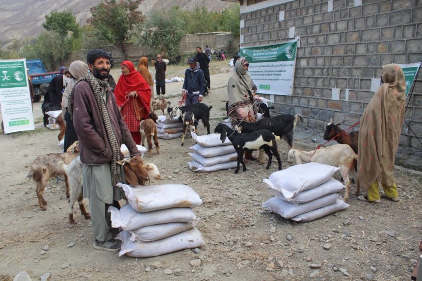 معاشی بااختیاری - مویشی پر مبنی معاشی بااختیاری کا پہلا مرحلہ مکمل