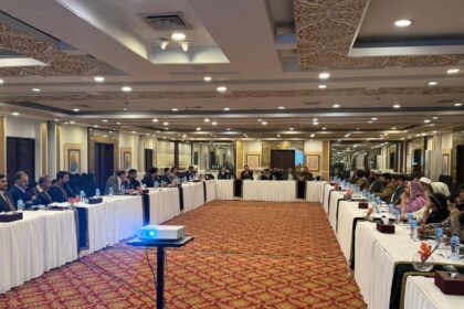 آر ٹی آئی - آر ٹی آئی انسانی حقوق کے نفاذ میں کلیدی کردار