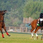 ماسٹر پینٹس - ماسٹر پینٹس شیکخو فائنل میں پہنچ گئے