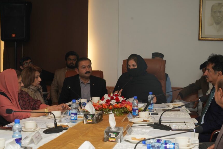 قومی ورثہ - قومی ورثہ و ثقافت کمیٹی کا چوتھا اجلاس