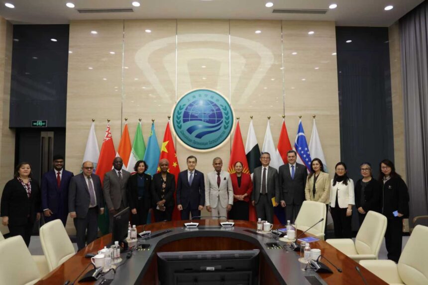 عالمی ادارہ صحت - عالمی ادارہ صحت اور اقوام متحدہ کا مضبوط تعاون