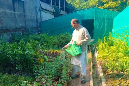 ہارٹیکلچر ایجنسی - ہارٹیکلچر ایجنسی راولپنڈی نے نرسریز میں خود کفالت فروغ دی