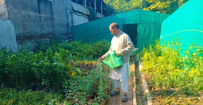 ہارٹیکلچر ایجنسی - ہارٹیکلچر ایجنسی راولپنڈی نے نرسریز میں خود کفالت فروغ دی