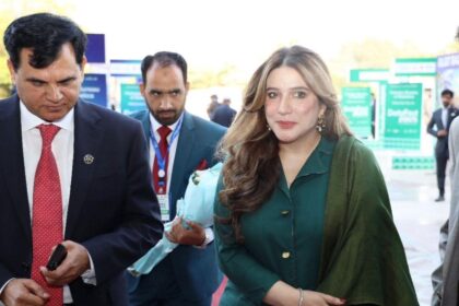 ڈیٹا فیسٹ - جہاں آراء منظور وٹو کی ڈیٹا فیسٹ میں شرکت