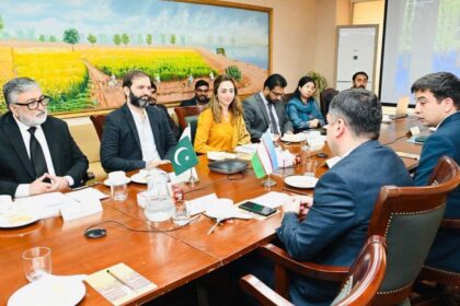 پاکستان ازبکستان تعلقات - پارلیمانی دوستی گروپ کا مجازی اجلاس