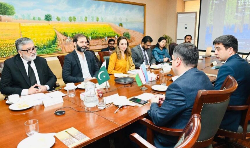 پاکستان ازبکستان تعلقات - پارلیمانی دوستی گروپ کا مجازی اجلاس