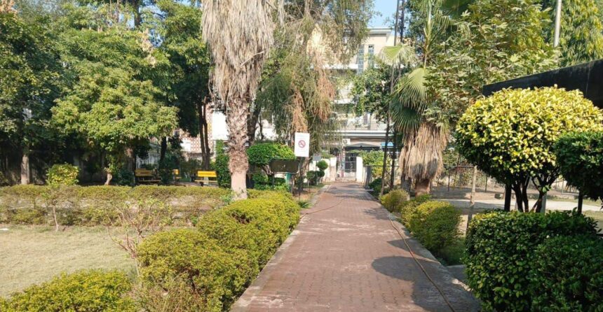 بچوں پارک - بچوں کے پارک کمیٹی چوک کی خوبصورتی میں اضافہ