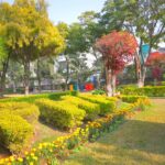 پارکوں کی خوبصورتی - ادارہِ نباتات راولپنڈی پارکوں کی خوبصورتی میں مصروف