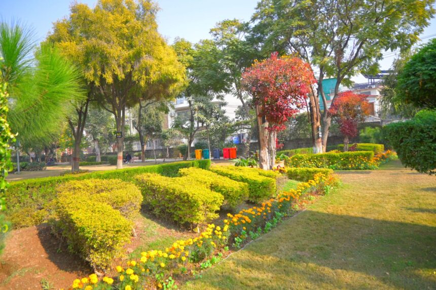 پارکوں کی خوبصورتی - ادارہِ نباتات راولپنڈی پارکوں کی خوبصورتی میں مصروف