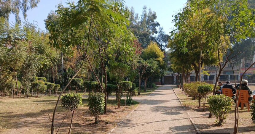 باغبانی ایجنسی - راولپنڈی پارکس کی خوبصورتی یقینی بنانے کا عزم