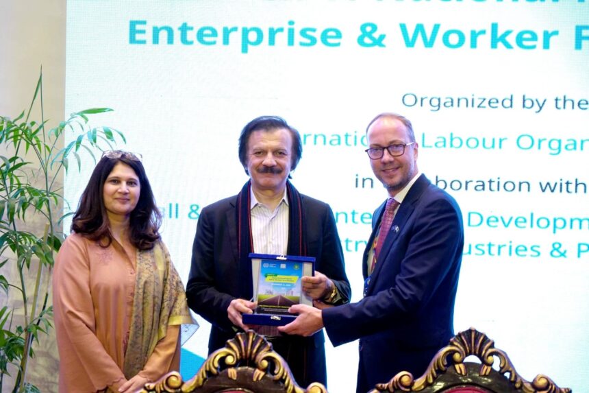 رسمی کاری - چھوٹے کاروبار اور مزدوروں کی رسمی کاری کیلئے قومی روڈ میپ جاری