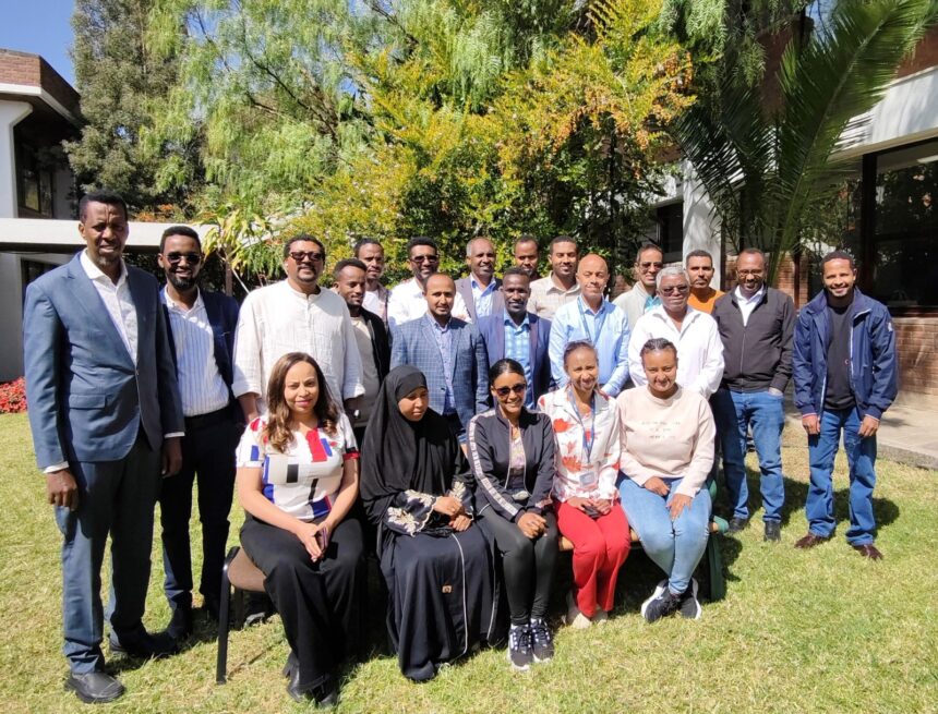 ڈیجیٹل ٹوئن - ڈیجیٹل ٹوئن سے ڈولو آدو میں سیلابی تیاری میں پیش رفت