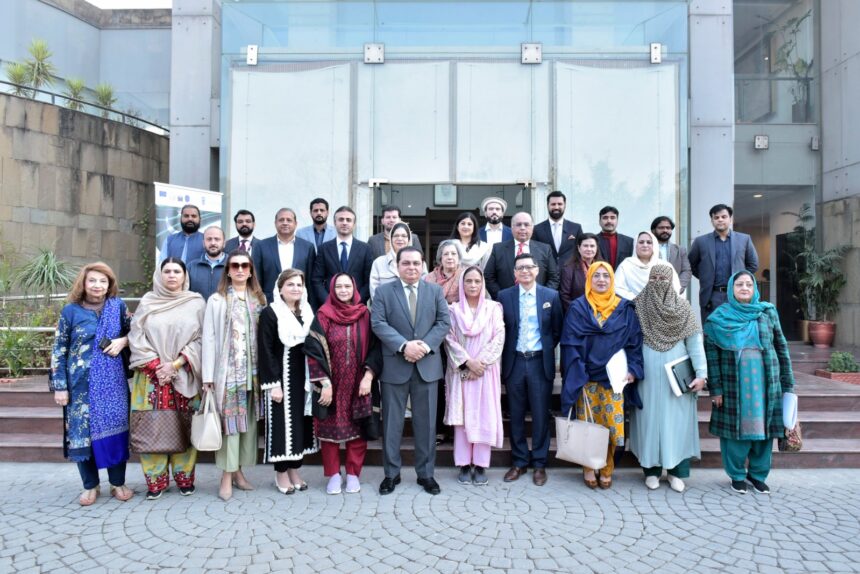 پرو خواتین قوانین - خواتین پارلیمانی گروہ کی پرو خواتین قوانین ورکشاپ