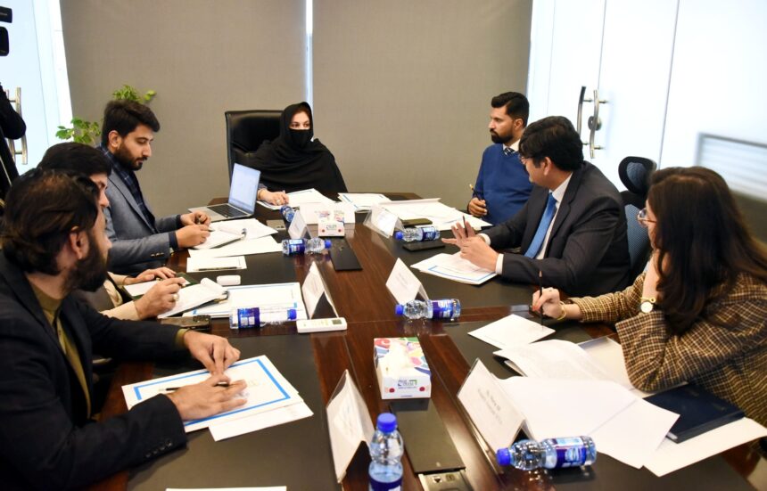 نوجوان سفیر - نوجوان سفیروں کی تعیناتی کیلئے پارلیمانی حکمتِ عملی