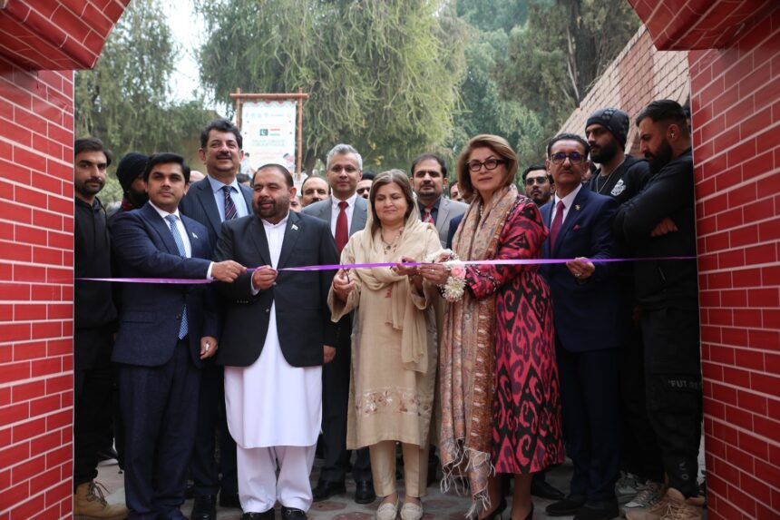 پاک تاجک ثقافت - پاک تاجک ثقافتی ہفتہ کا شاندار آغاز