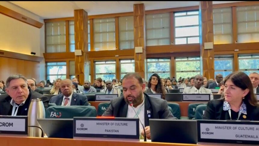 مشترکہ ورثہ - پاکستان آئی سی سی آر او ایم کے ساتھ مشترکہ ورثے کے تحفظ پر پرعزم