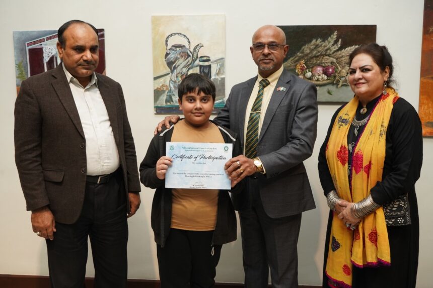 نقاشی کی نمائش - پی این سی اے میں طلبہ کی نقاشی و مصوری کی نمائش