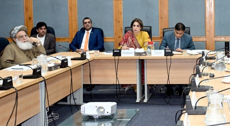 ٹیلی مواصلات کمیٹی - سینیٹ کی ٹیلی مواصلات کمیٹی کا اہم اجلاس