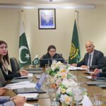 ڈیجیٹل مہارتیں - قومی کمیٹی نے ڈیجیٹل مہارتوں کو اولین ترجیح دی