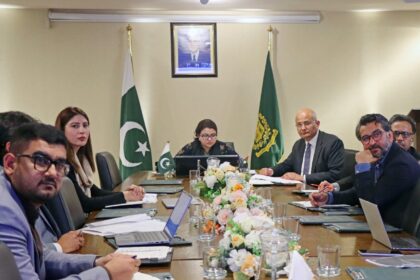 ڈیجیٹل مہارتیں - قومی کمیٹی نے ڈیجیٹل مہارتوں کو اولین ترجیح دی