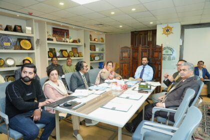 آبادی میں اضافہ - وفاقی وزیر صحت کی زیر صدارت آبادی کے بارے میں ہنگامی اجلاس