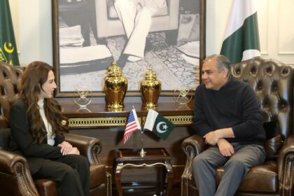 غیرقانونی ہجرت - وزیر داخلہ اور امریکی سفیر نے غیرقانونی ہجرت پر اتفاق