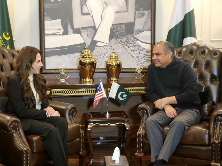 غیرقانونی ہجرت - وزیر داخلہ اور امریکی سفیر نے غیرقانونی ہجرت پر اتفاق