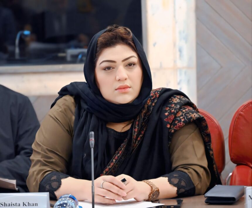 مریم نواز - مریم نواز کی قیادت میں احتساب کا وعدہ